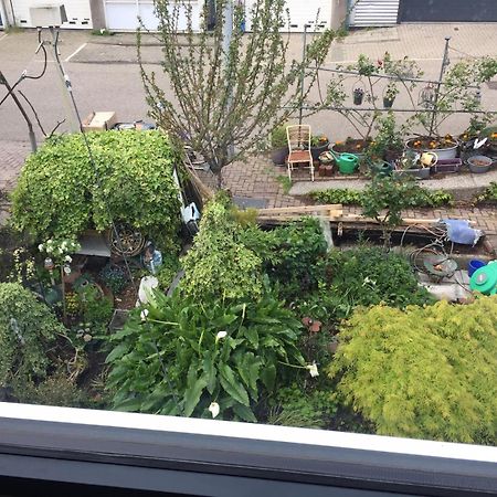 Reiwa Bed & Breakfast Amsterdam Exterior photo